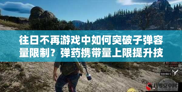 往日不再游戏中如何突破子弹容量限制？弹药携带量上限提升技巧全揭秘