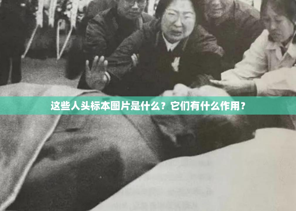 这些人头标本图片是什么？它们有什么作用？