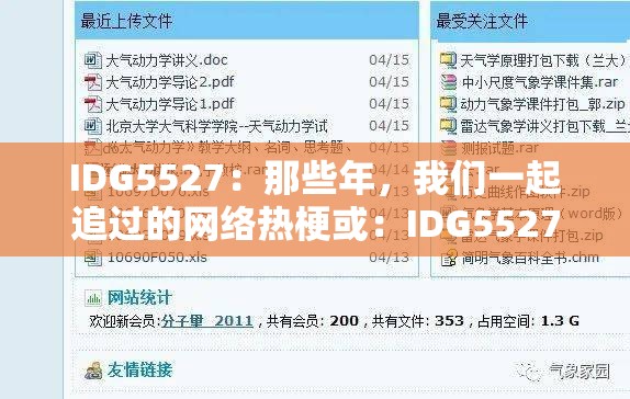 IDG5527：那些年，我们一起追过的网络热梗或：IDG5527：网络热梗大盘点，你都知道哪些？