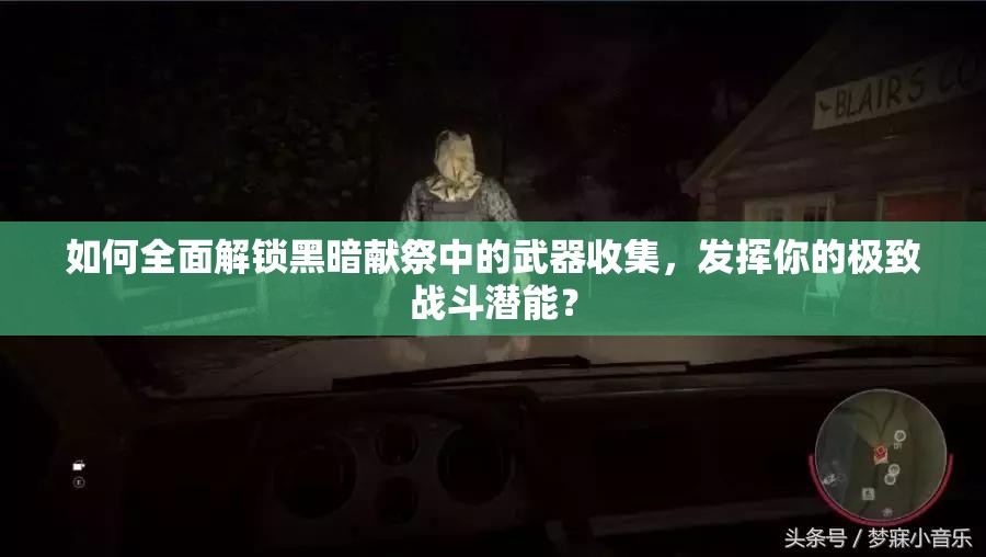 如何全面解锁黑暗献祭中的武器收集，发挥你的极致战斗潜能？