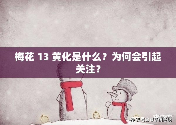 梅花 13 黄化是什么？为何会引起关注？