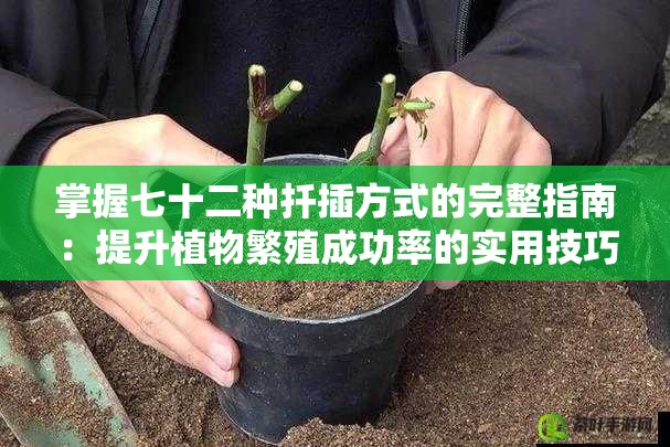 掌握七十二种扦插方式的完整指南：提升植物繁殖成功率的实用技巧与详细步骤