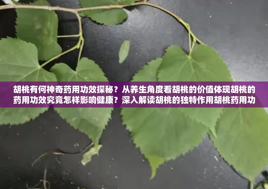 胡桃有何神奇药用功效探秘？从养生角度看胡桃的价值体现胡桃的药用功效究竟怎样影响健康？深入解读胡桃的独特作用胡桃药用功效知多少？探究其在传统医学中的重要地位与影响