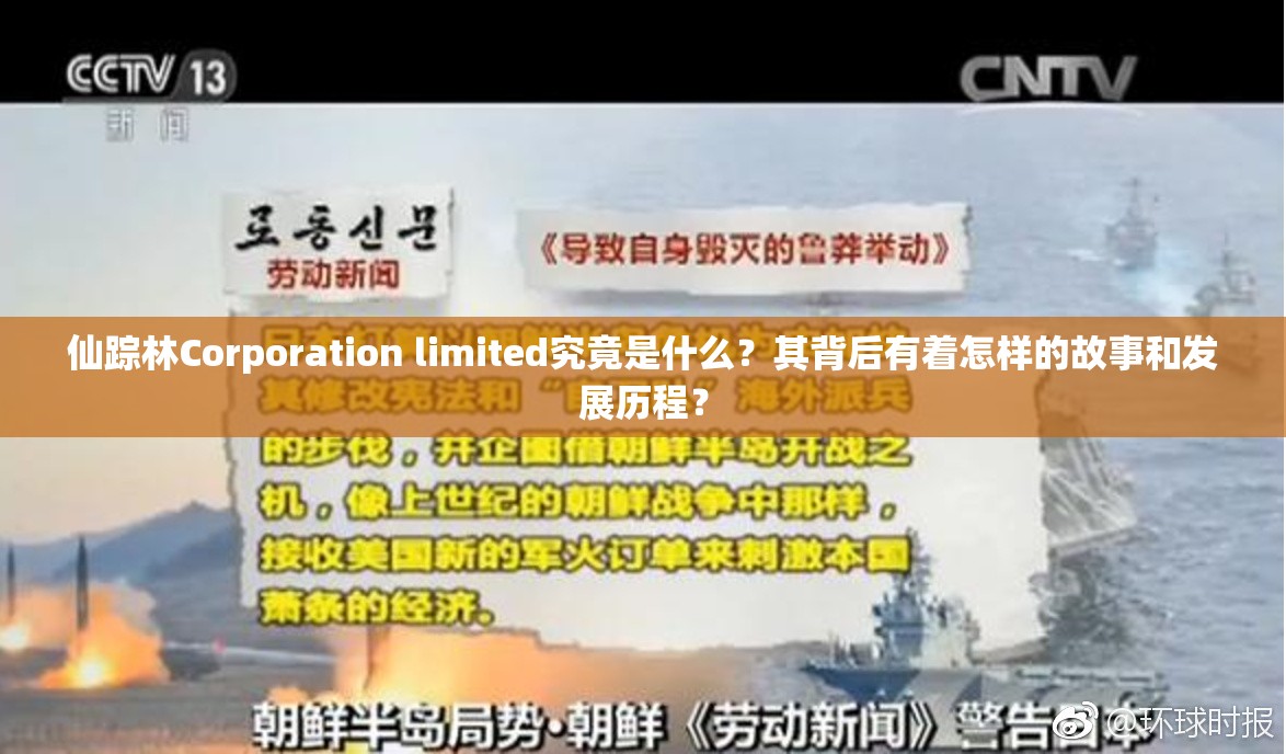 仙踪林Corporation limited究竟是什么？其背后有着怎样的故事和发展历程？