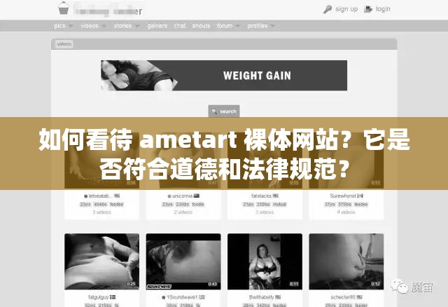 如何看待 ametart 裸体网站？它是否符合道德和法律规范？