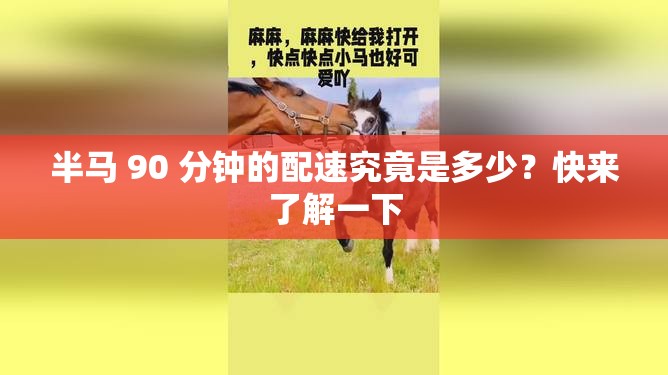 半马 90 分钟的配速究竟是多少？快来了解一下