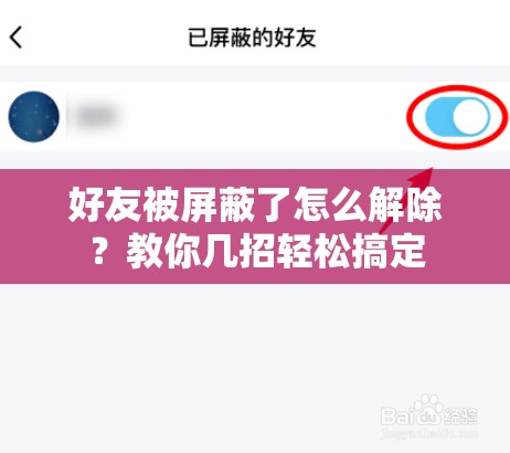 好友被屏蔽了怎么解除？教你几招轻松搞定