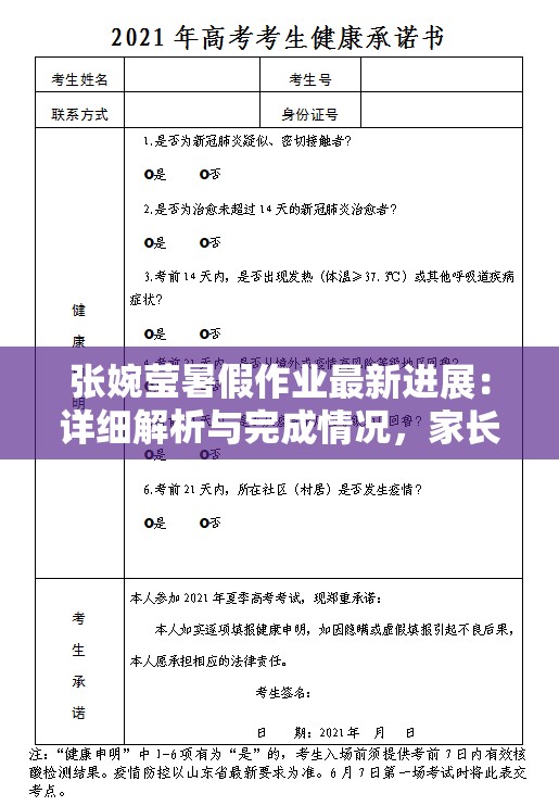 张婉莹暑假作业最新进展：详细解析与完成情况，家长和学生必看