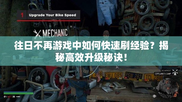 往日不再游戏中如何快速刷经验？揭秘高效升级秘诀！