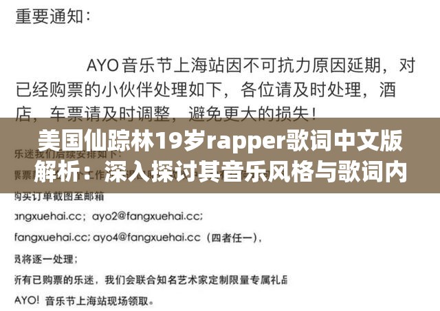 美国仙踪林19岁rapper歌词中文版解析：深入探讨其音乐风格与歌词内涵