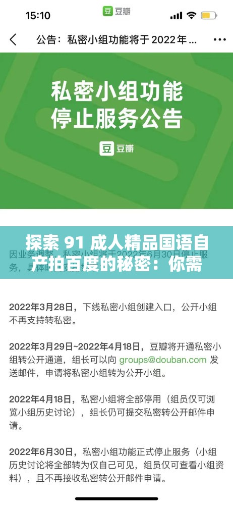 探索 91 成人精品国语自产拍百度的秘密：你需要知道的一切