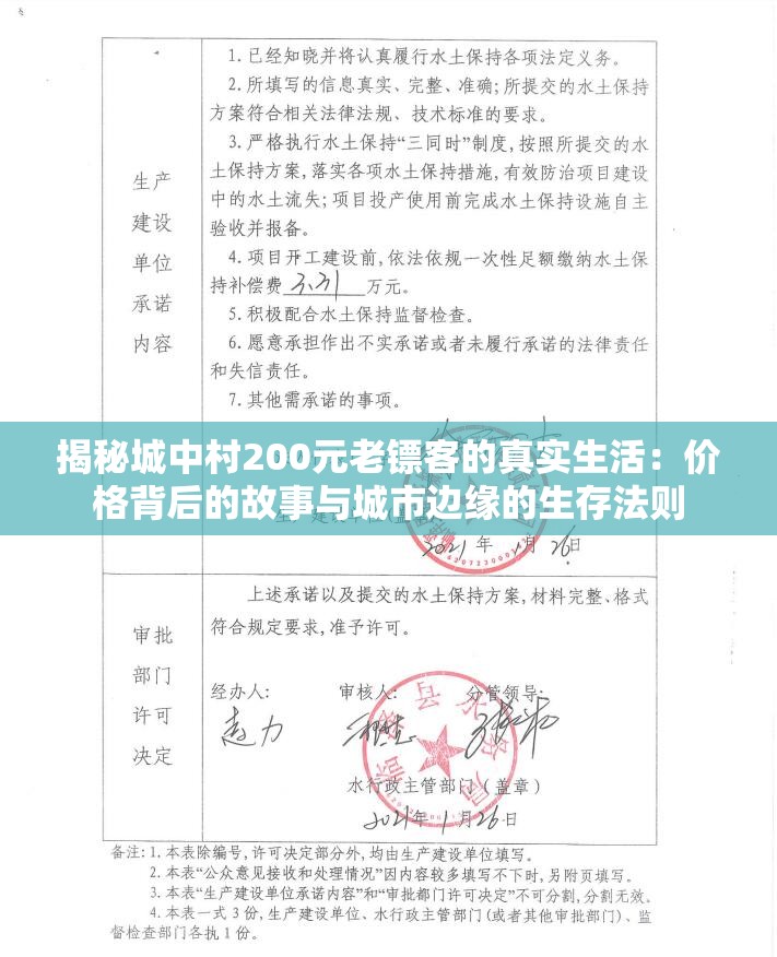 揭秘城中村200元老镖客的真实生活：价格背后的故事与城市边缘的生存法则