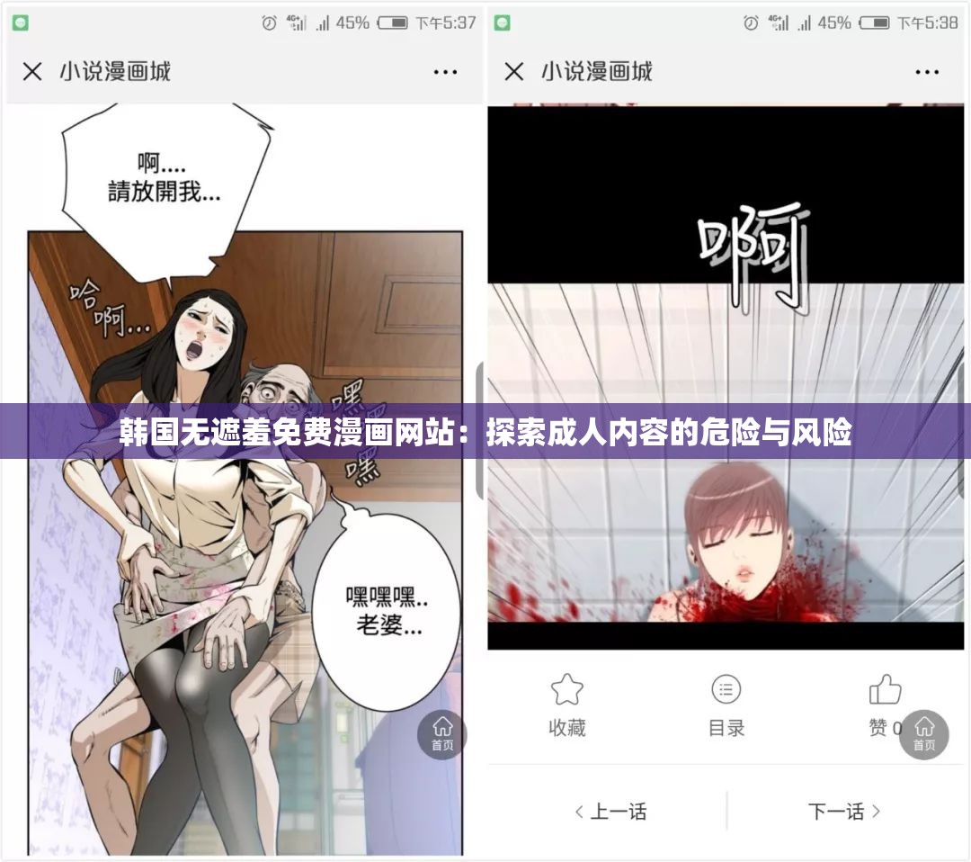 韩国无遮羞免费漫画网站：探索成人内容的危险与风险