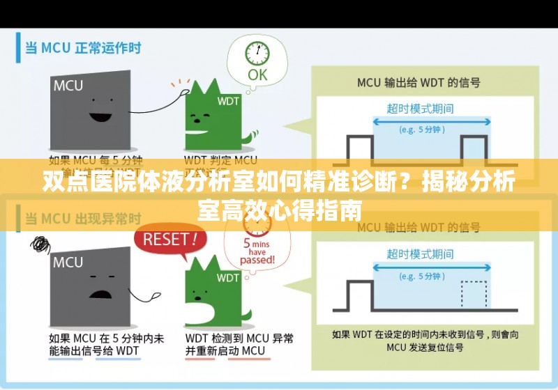 双点医院体液分析室如何精准诊断？揭秘分析室高效心得指南