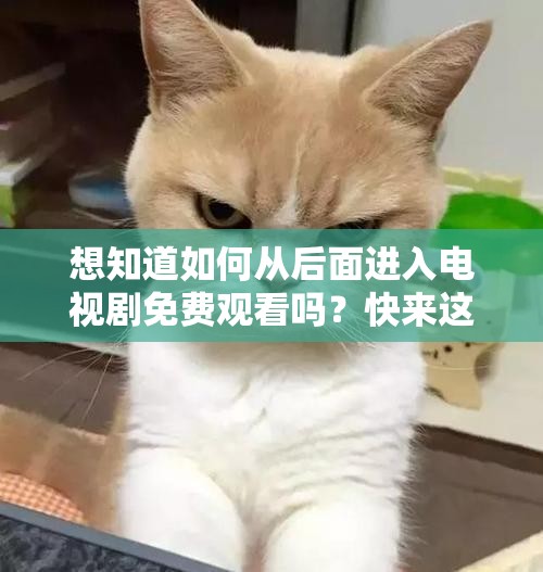 想知道如何从后面进入电视剧免费观看吗？快来这里寻找答案吧