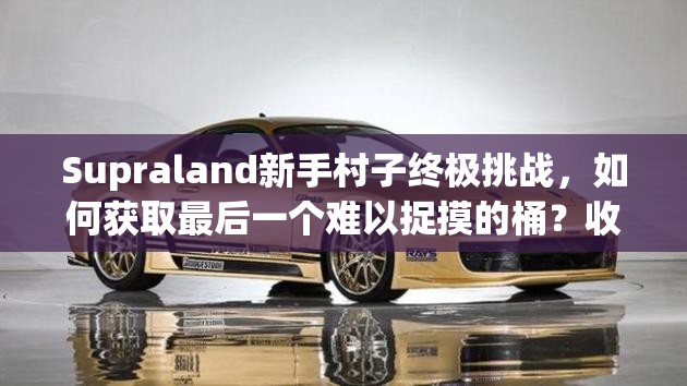 Supraland新手村子终极挑战，如何获取最后一个难以捉摸的桶？收集要素全解析