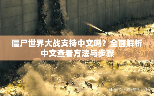 僵尸世界大战支持中文吗？全面解析中文查看方法与步骤