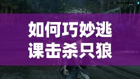 如何巧妙逃课击杀只狼中的忍者猎人弥山院圆真，隐藏技巧揭秘？