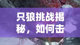 只狼挑战揭秘，如何击败地牢中的神秘七面武士，打法攻略何在？