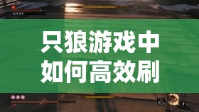 只狼游戏中如何高效刷取铁屑？磁铁屑快速掉落技巧揭秘！