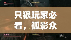 只狼玩家必看，孤影众忌手BOSS打法攻略如何随版本演变？