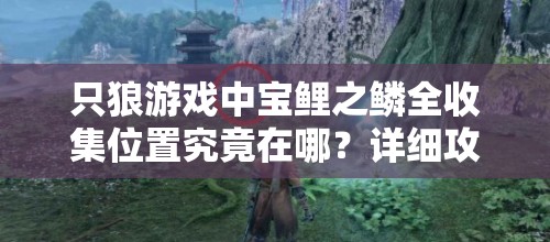 只狼游戏中宝鲤之鳞全收集位置究竟在哪？详细攻略分享