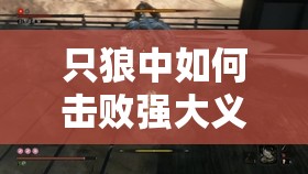 只狼中如何击败强大义父枭？深度打法攻略与未来玩法革命性预测！