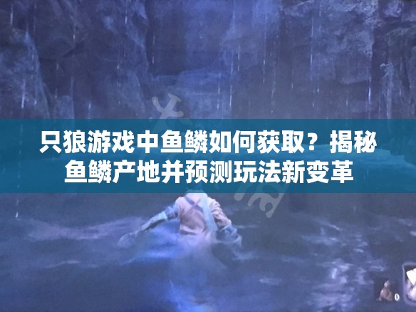 只狼游戏中鱼鳞如何获取？揭秘鱼鳞产地并预测玩法新变革