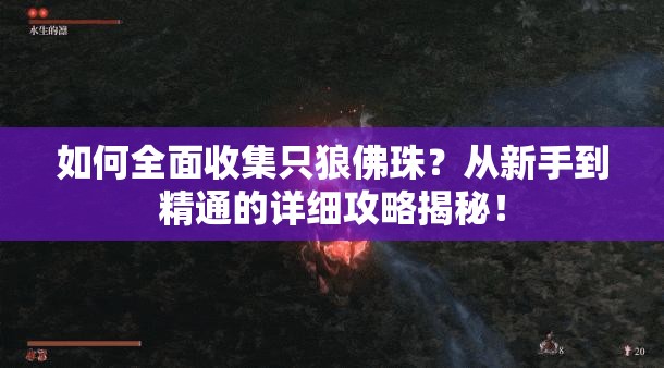 如何全面收集只狼佛珠？从新手到精通的详细攻略揭秘！