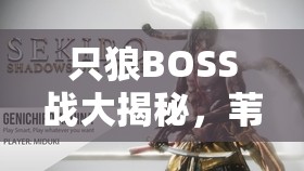 只狼BOSS战大揭秘，苇名弦一郎打法详解，玄一郎究竟隐藏在哪？