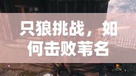 只狼挑战，如何击败苇名七本枪山内式部利胜？BOSS打法全揭秘！