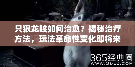 只狼龙咳如何治愈？揭秘治疗方法，玩法革命性变化即将来临？