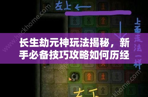 长生劫元神玩法揭秘，新手必备技巧攻略如何历经演变成为高手秘籍？