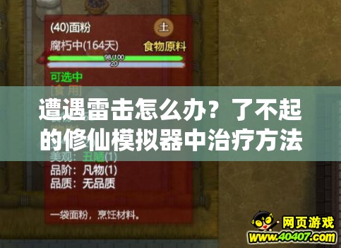 遭遇雷击怎么办？了不起的修仙模拟器中治疗方法揭秘与资源管理策略探讨