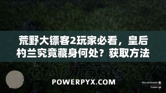 荒野大镖客2玩家必看，皇后杓兰究竟藏身何处？获取方法及位置全揭秘