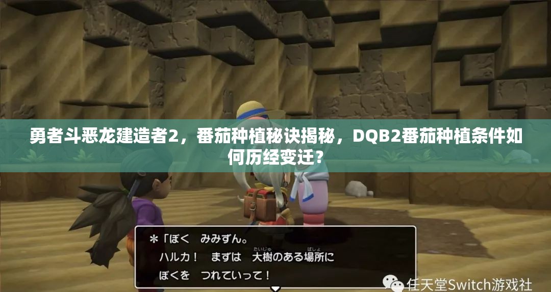 勇者斗恶龙建造者2，番茄种植秘诀揭秘，DQB2番茄种植条件如何历经变迁？