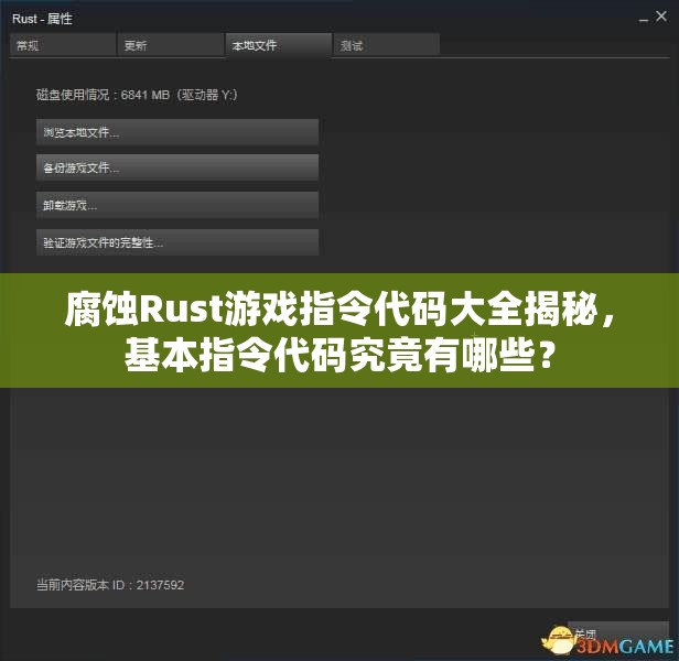 腐蚀Rust游戏指令代码大全揭秘，基本指令代码究竟有哪些？